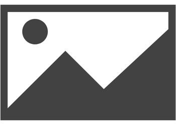 placeholder-3